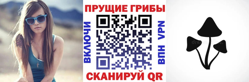 что такое наркотик  Чапаевск  Псилоцибиновые грибы GOLDEN TEACHER 