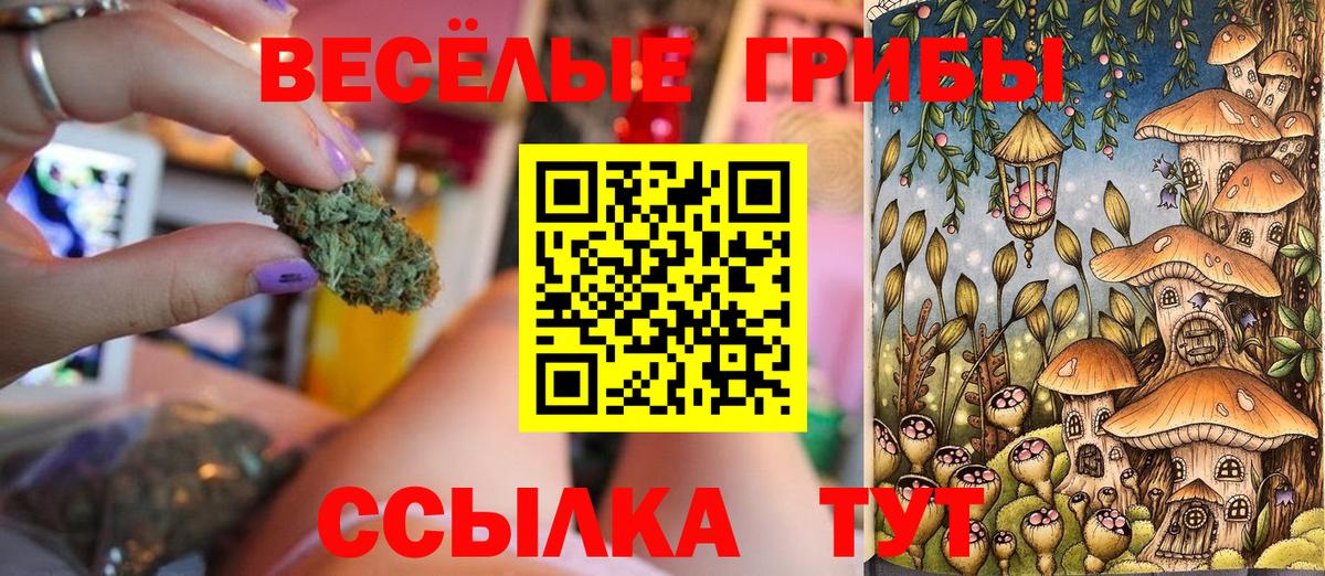 Чапаевск  Галлюциногенные грибы Psilocybe  Вход с VPN 